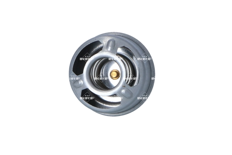 522328 DAF Termostat
