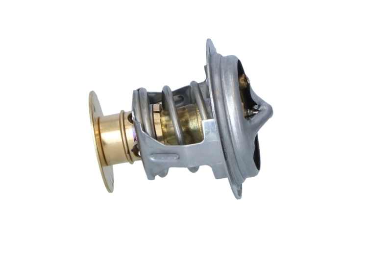 XR85174 Jaguar Termostat