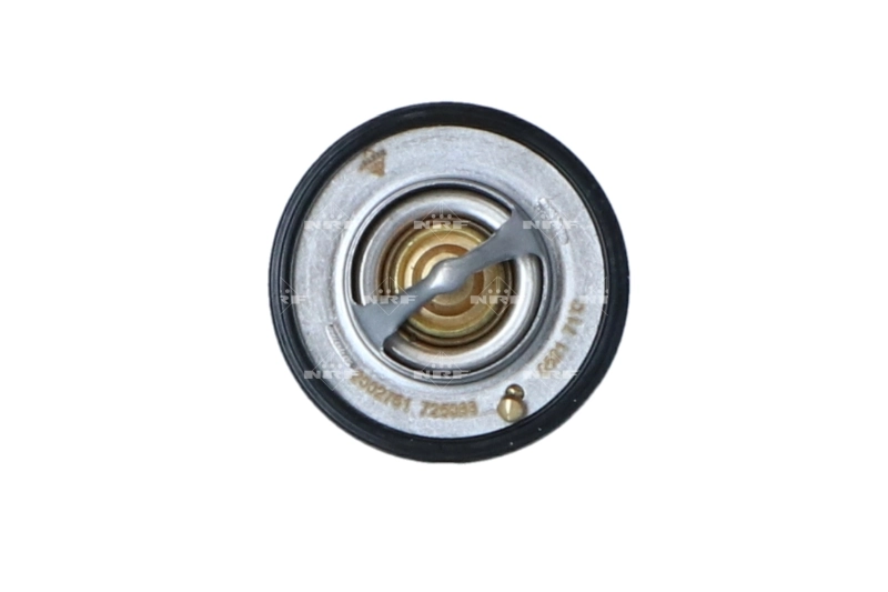 Termostat 93180077 General Motors