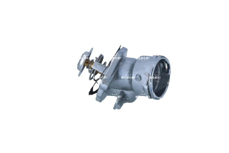 Termostat do Mercedes S  C216