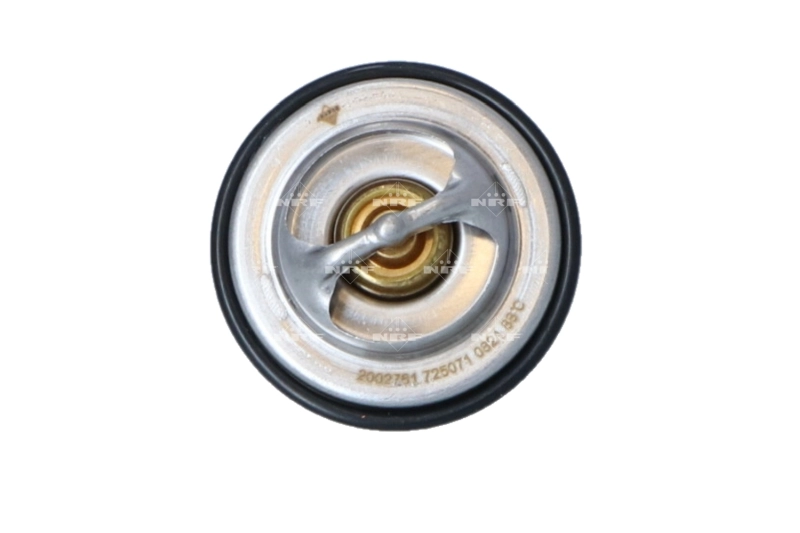 96005005 Peugeot/Citroen Termostat