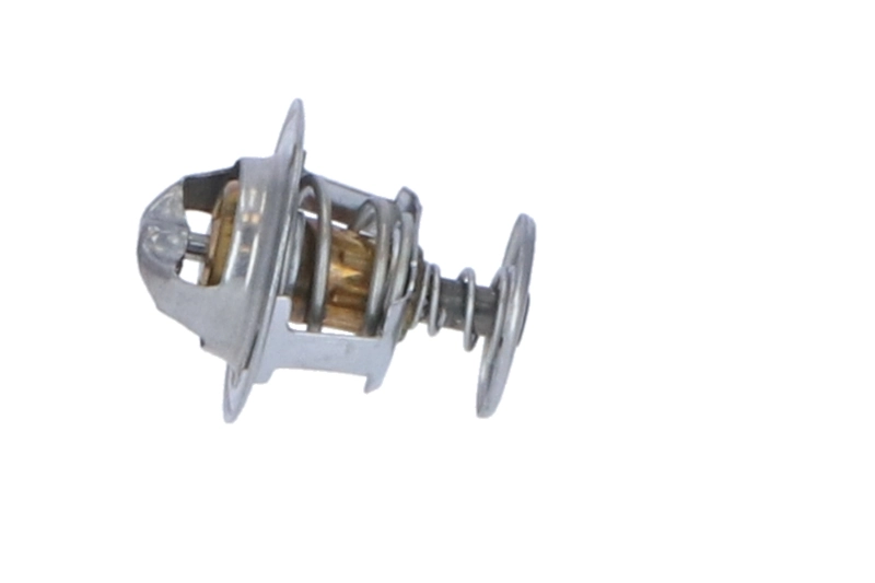 Termostat 212006F900 Nissan/Infiniti
