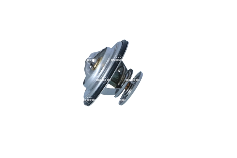  Termostat BMW 5 