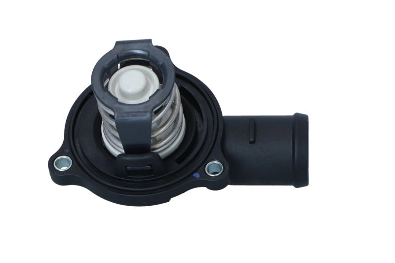 Termostat Audi A8