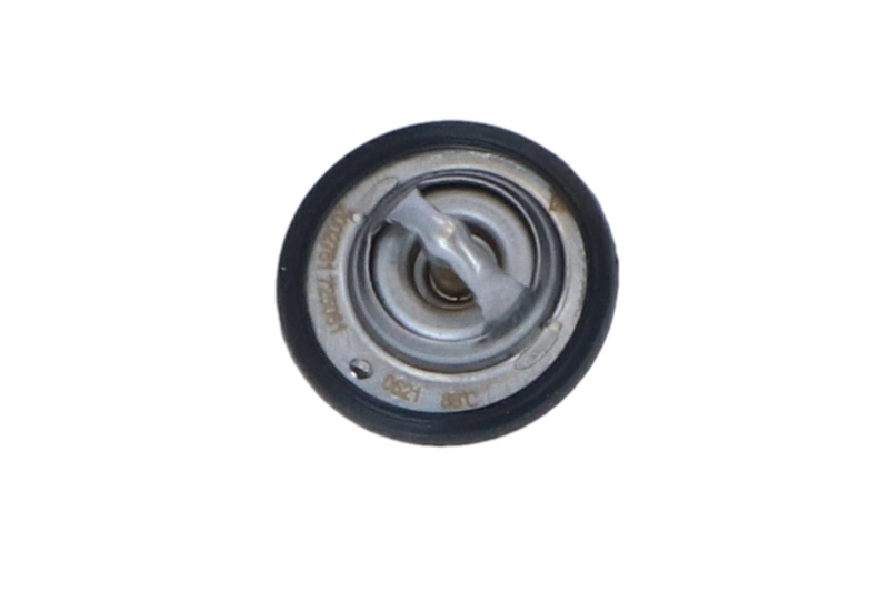 1767050G10 Subaru Termostat