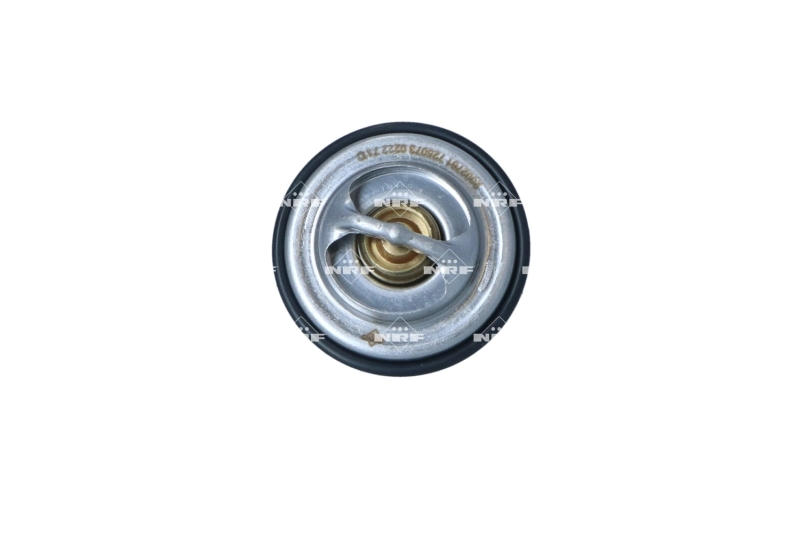 Do koszyka Termostat BMW 5  E28