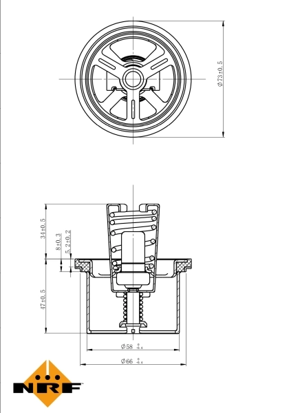 Termostat 5010553100 Renault (RVI)