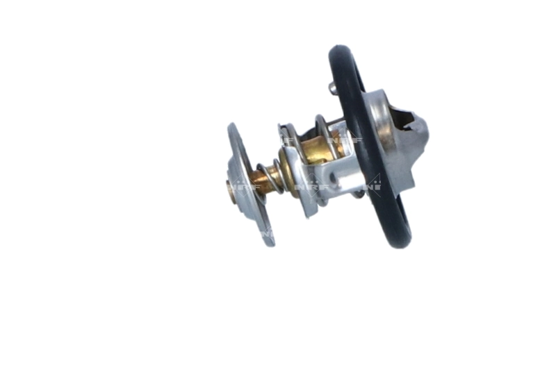  Termostat Ford Fiesta 