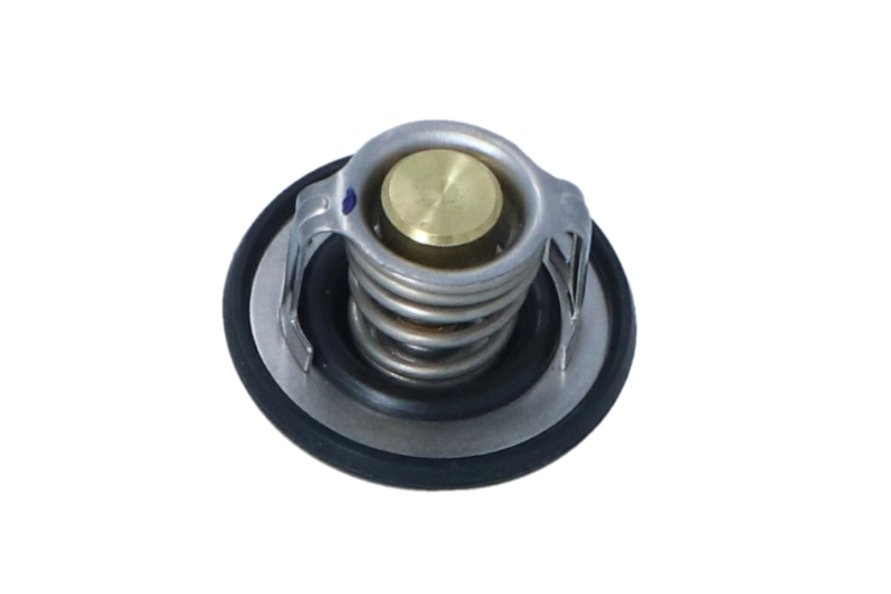  Termostat KIA Carens 3