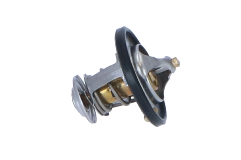  Termostat Mitsubishi Pajero 1