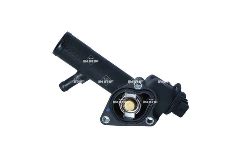  Termostat Renault Clio 2