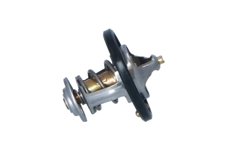  Termostat Mitsubishi Pajero 1