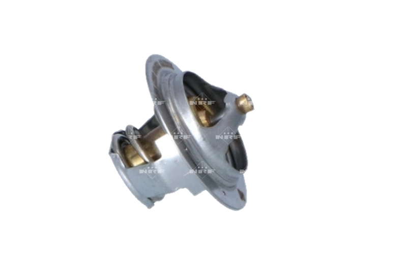Termostat 2222515910 Renault (RVI)