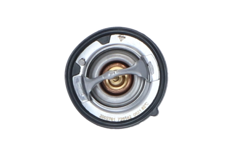  Termostat Nissan Patrol 