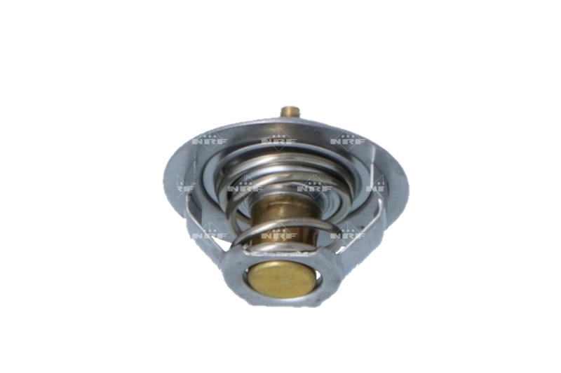 Do koszyka 2222515910 Renault (RVI) Termostat