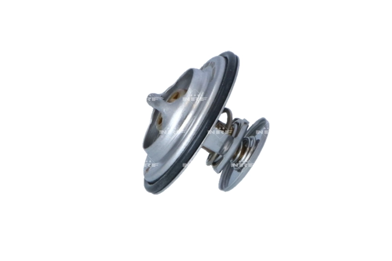 Termostat Renault Trafic I autobus (TXW) (1989 - 2001) cena, od 12,98 USD