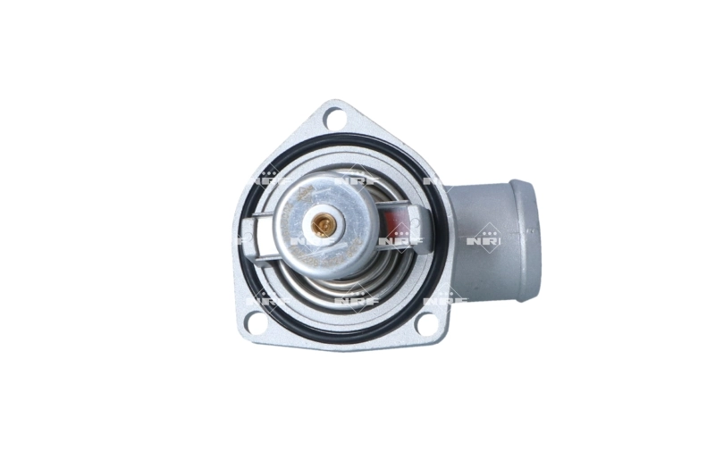 1338073 General Motors Termostat