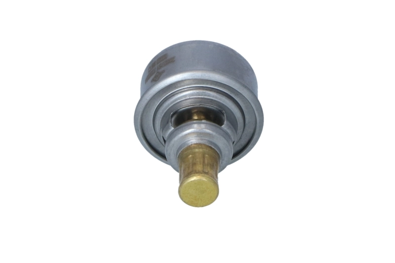 Termostat Renault 19