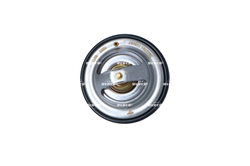 Termostat Ford Explorer