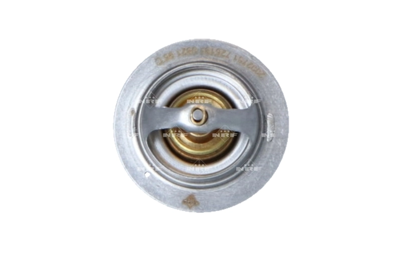 2222515910 Renault (RVI) Termostat