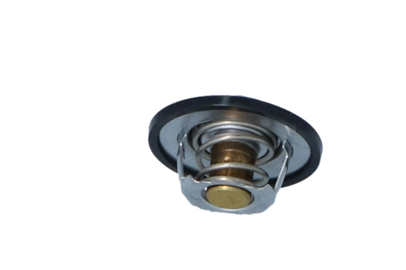 Termostat 8942072171 Honda