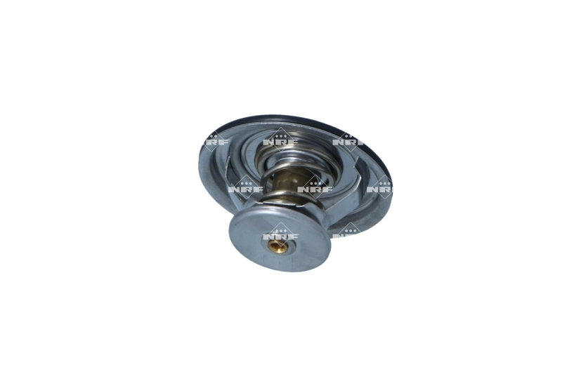 Do koszyka Termostat BMW 3  E21