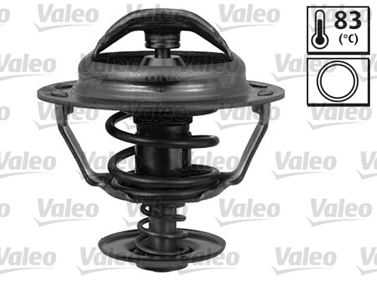 819950 VALEO