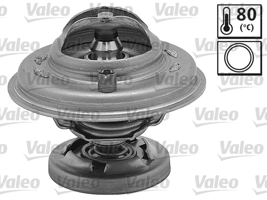 819969 VALEO