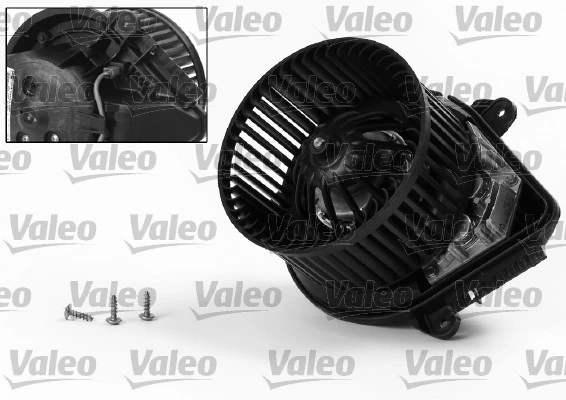 698529 VALEO