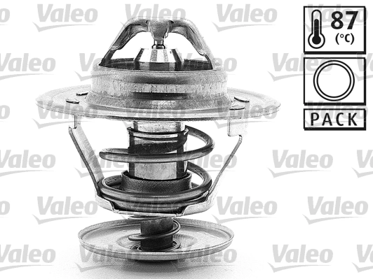 819868 VALEO