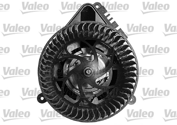 698218 VALEO