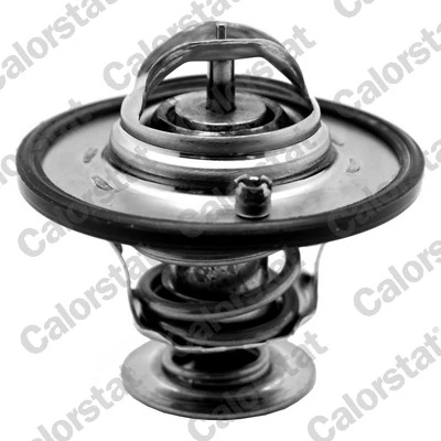 Termostat Fiat Regata