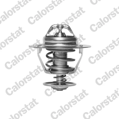 Termostat Nissan Altima