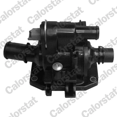 Termostat Ford Fusion
