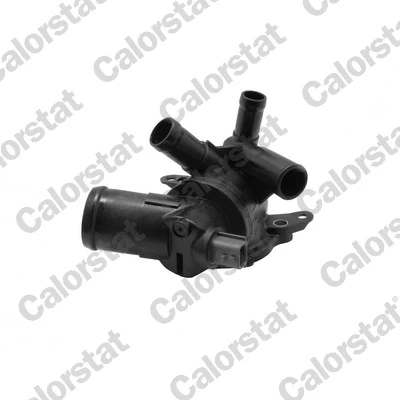 Termostat 110617250R Renault (RVI)