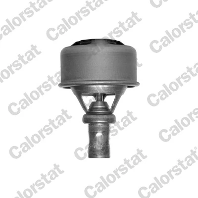 Termostat Renault 19