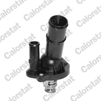 Termostat Ford C-Max