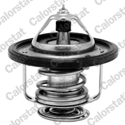 Termostat Chevrolet Epica