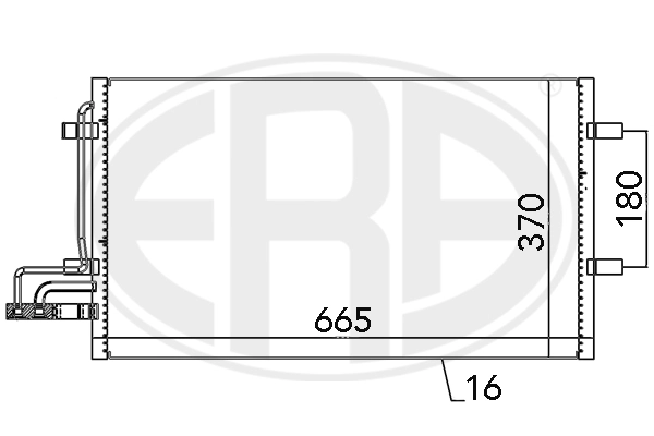 667029 ERA