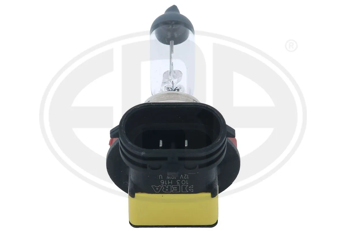  Żarówka lampy przeciwmgielnej Renault Scenic 