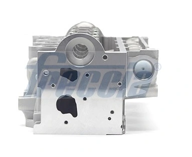 Głowica cylindrów Renault DUSTER 2 HM