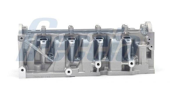 Głowica cylindrów Renault DUSTER 2 HM