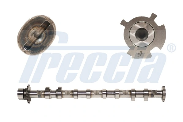 CM052248 Freccia