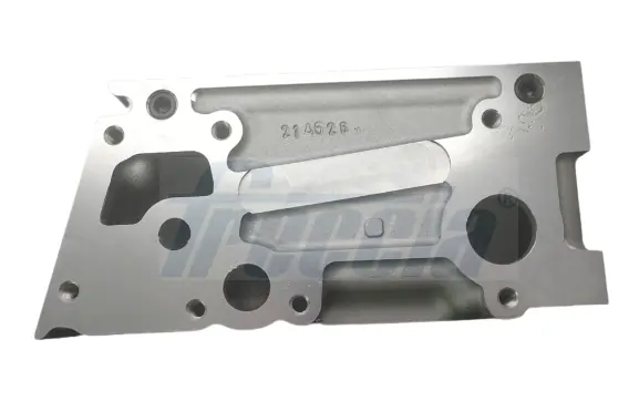 Do koszyka 504385398 Fiat/Alfa/Lancia Głowica cylindrów