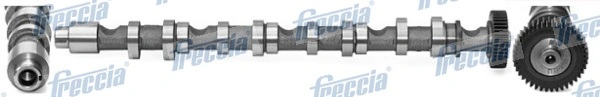 CM052196 Freccia