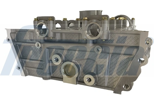 Głowica cylindrów Ford Fiesta Mk4