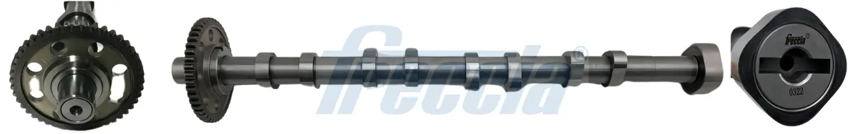 CM052277 Freccia