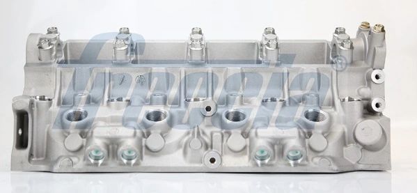 Głowica cylindrów 7711134641 Renault (RVI)