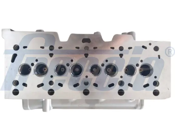 Głowica cylindrów Nissan Note E11