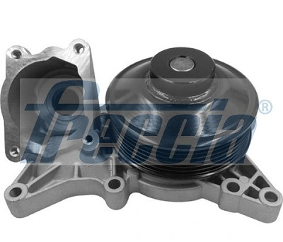 WP0599 Freccia